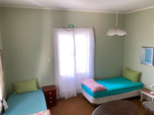 Hostel Honeysuckle House Nelson Zewnętrze zdjęcie
